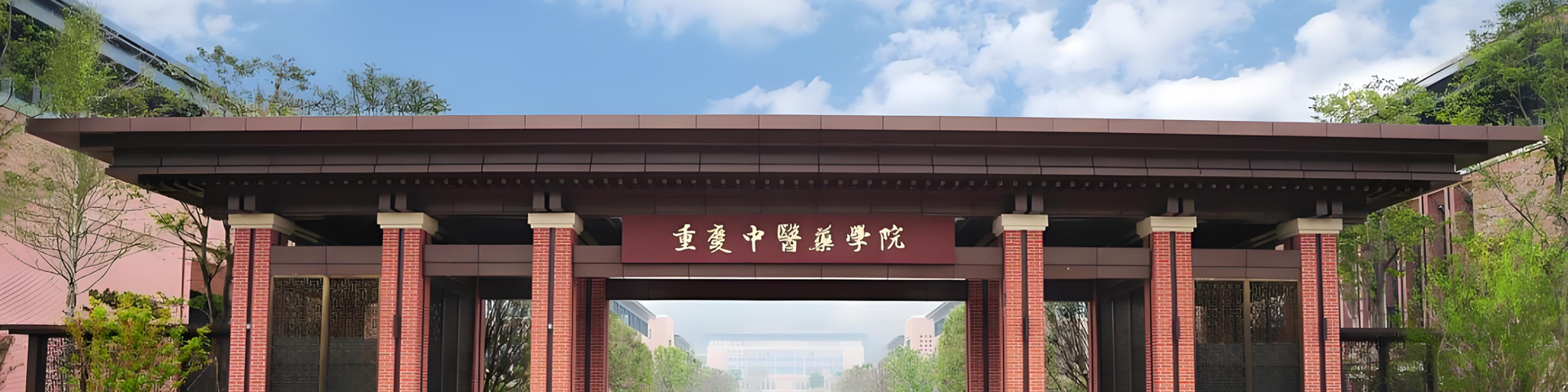 2026年国际足联世界杯